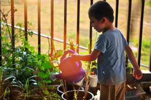 Blog Watering Can